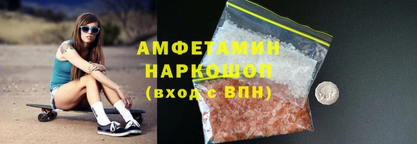 индика Волоколамск