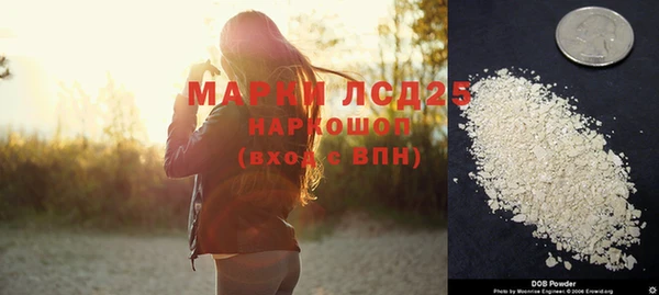 индика Волоколамск