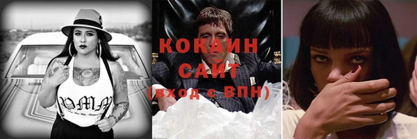 индика Волоколамск