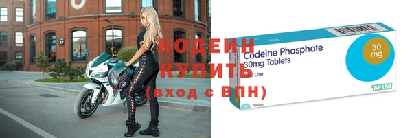 индика Волоколамск