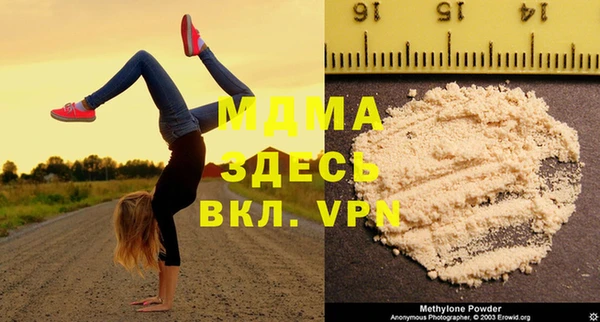 индика Волоколамск