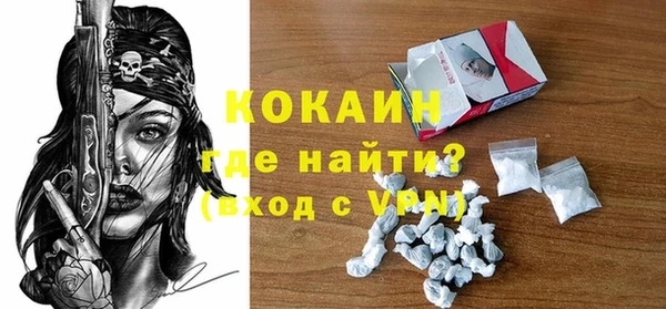 индика Волоколамск