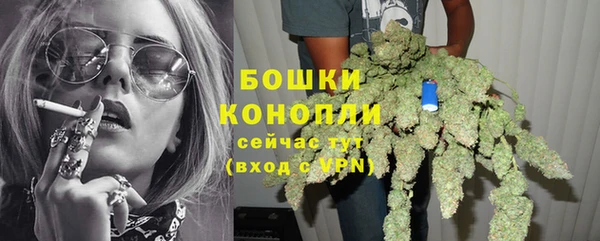 индика Волоколамск