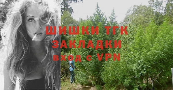 индика Волоколамск