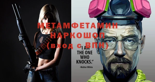 индика Волоколамск