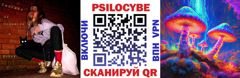 Галлюциногенные грибы Psilocybine cubensis  Шилка 